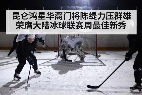 ice hockey rink action