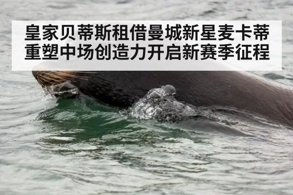 皇家贝蒂斯租借曼城新星麦卡蒂重塑中场创造力开启新赛季征程